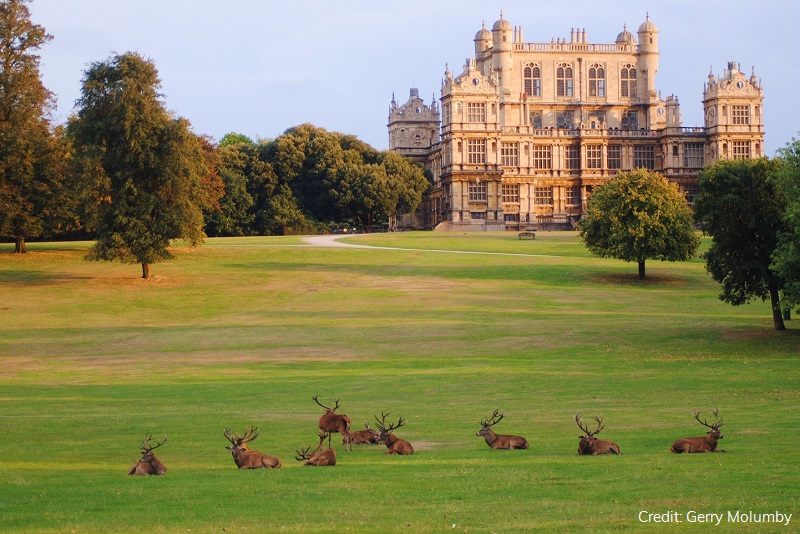 Wollaton Hall by Gerry Molumby | Visit Nottinghamshire